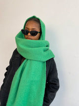 1pc Women's Fuzzy Long Scarf With Tassel For Winter