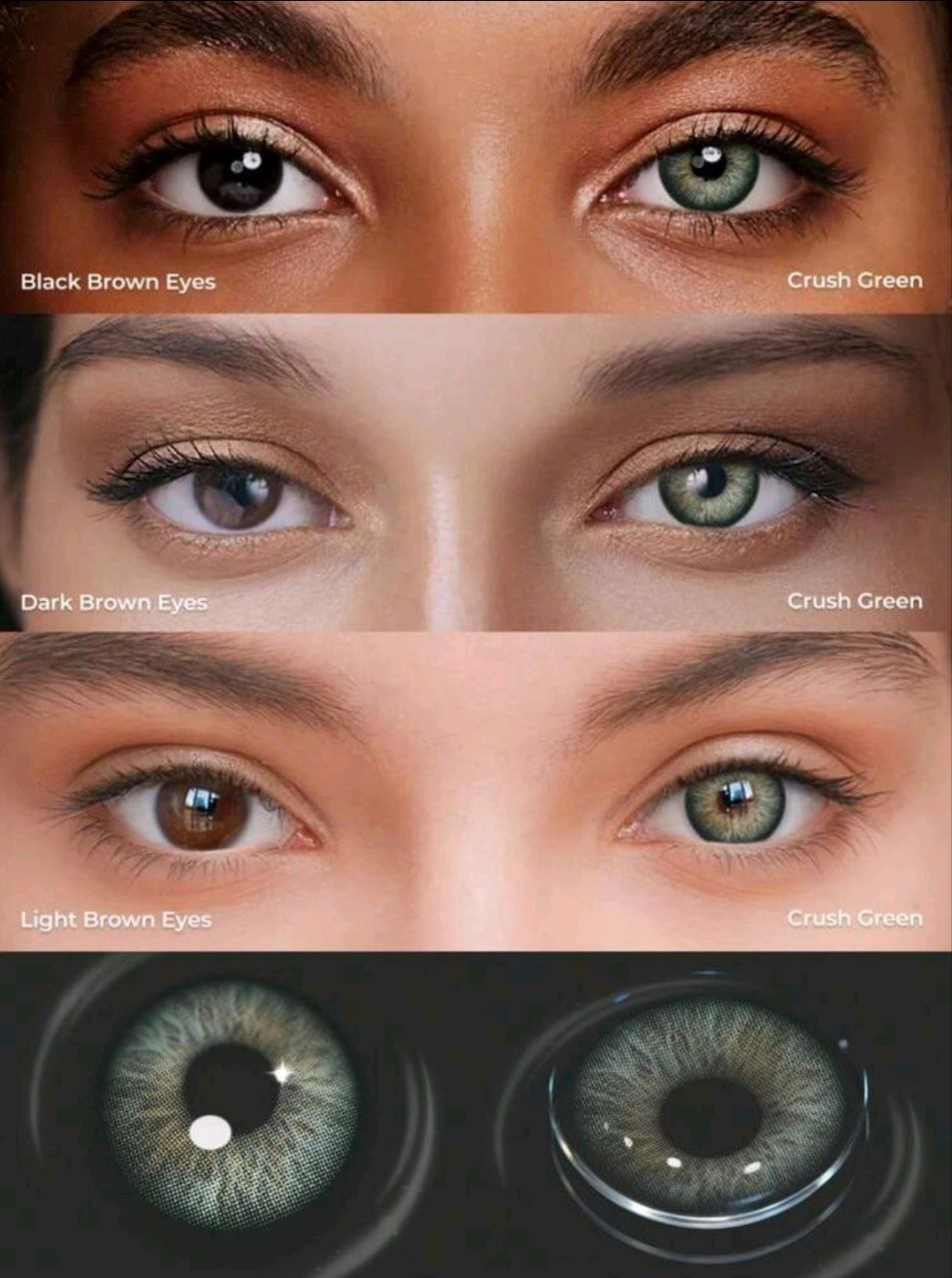Lalens 1 Box (2 Pieces) 1 Year Disposable Crush Green Hazelnut Color Contact Lenses