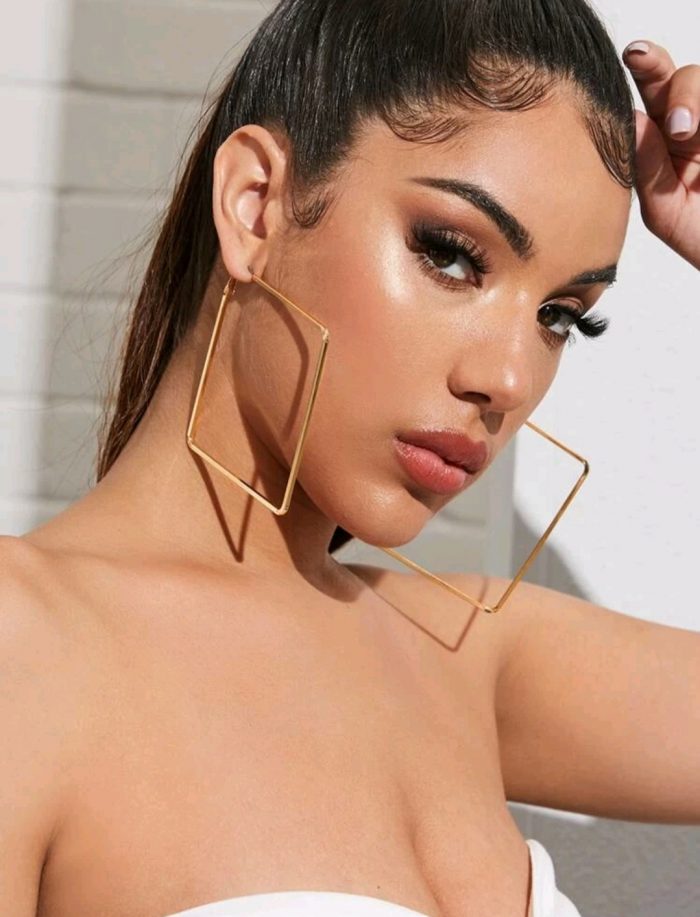 1pair Geometric Hoop Earrings