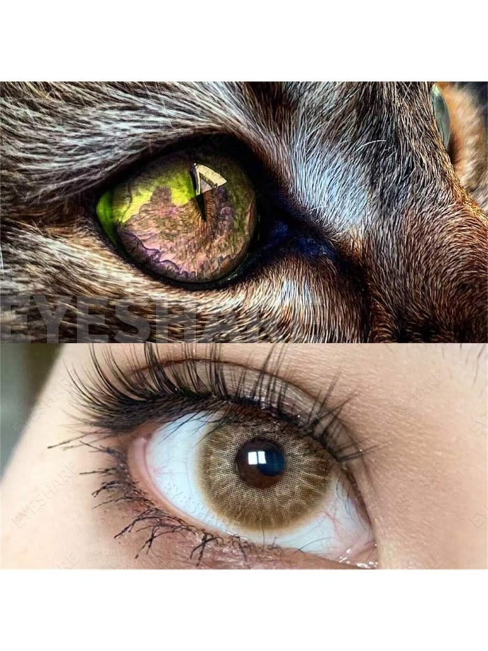 1 Pair Natural Color Lens Eyes Color Cosmetic Contact Brown Colored Lenses - Image 3