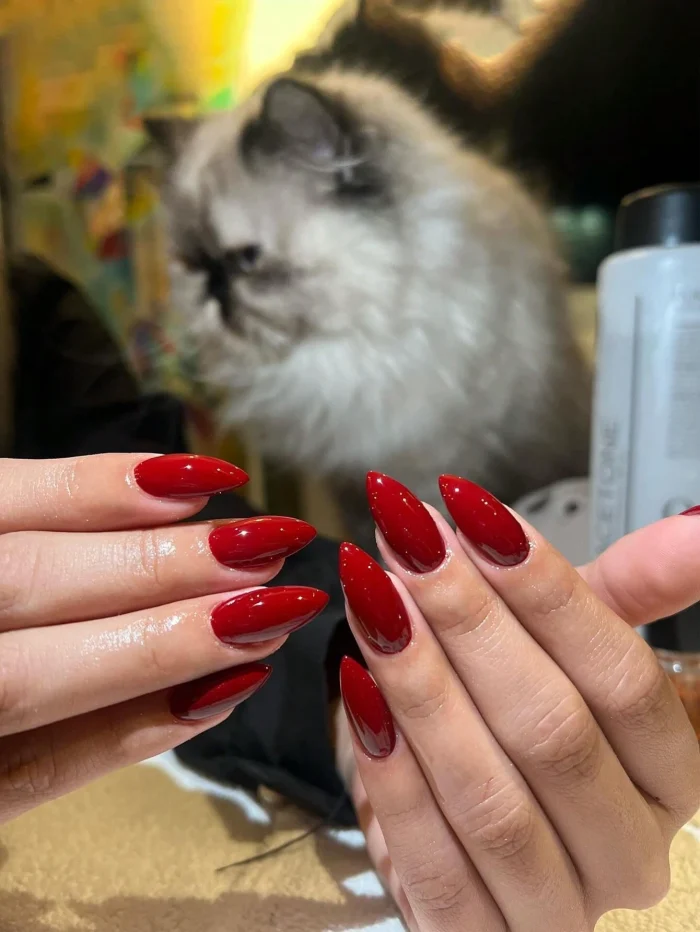 Elevate Your Style With 24pcs Long Almond Shape Bright Red False Nails Set Suitable For Women & Girls' Daily Wear