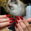 Elevate Your Style With 24pcs Long Almond Shape Bright Red False Nails Set